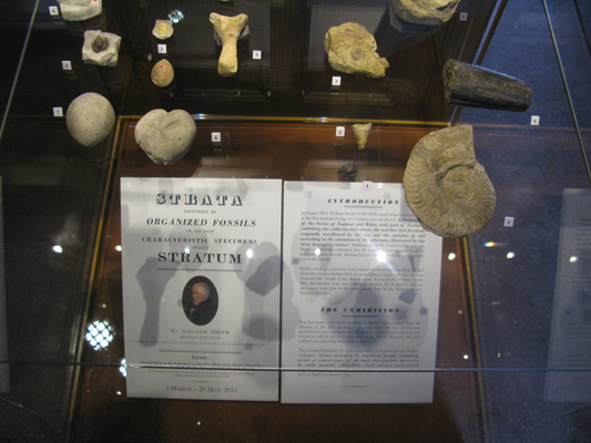 The exhibition of 26 of Smith's fossils ran from 3 March - 29 May
